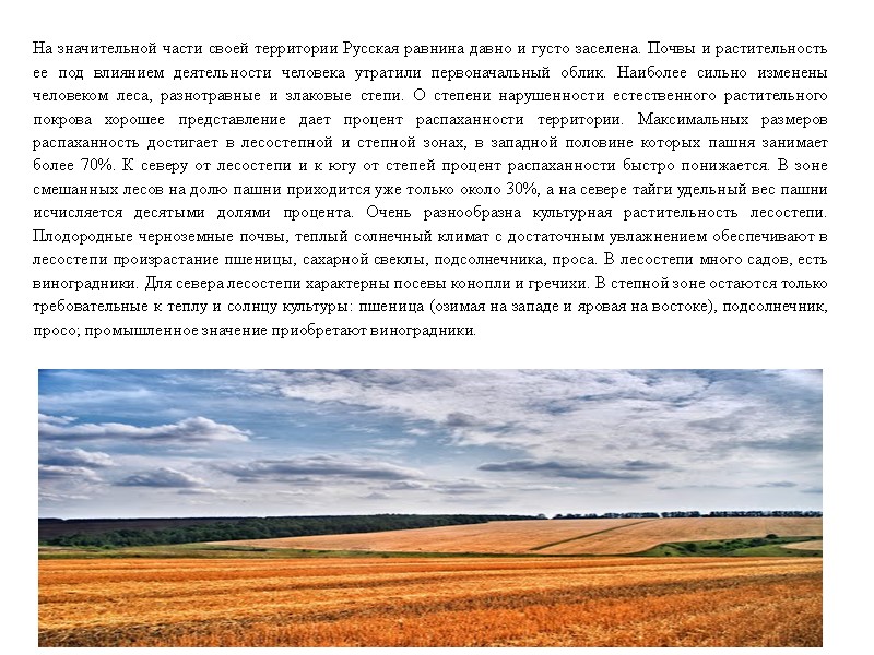На значительной части своей территории Русская равнина давно и густо заселена. Почвы и растительность